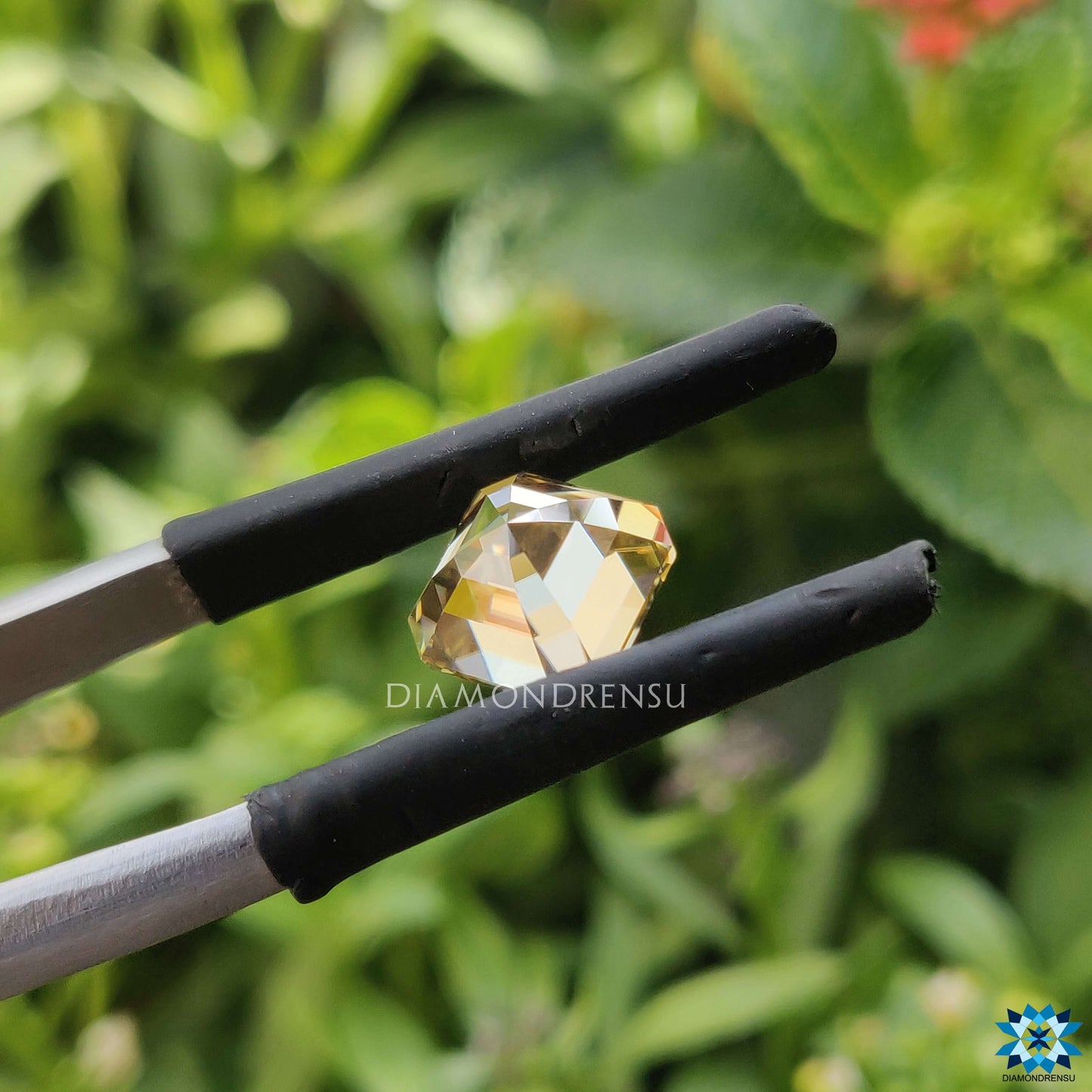 moissanite engagement rings - diamondrensu